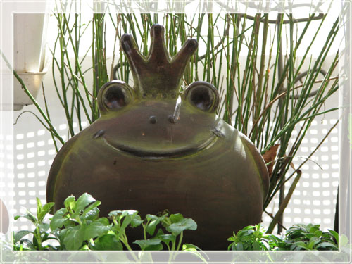 der_froschkoenig_0408.jpg