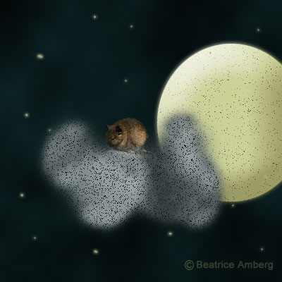 wolken_maus.jpg