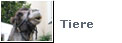 Tiereallerlei