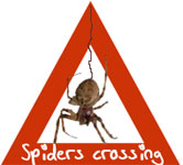 warnschild_spinnen.jpg
