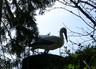 dba1/storch_maerchenwald.jpg