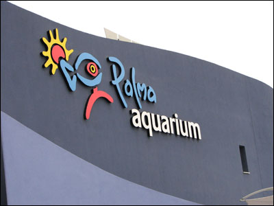241007_aquarium_intro.jpg